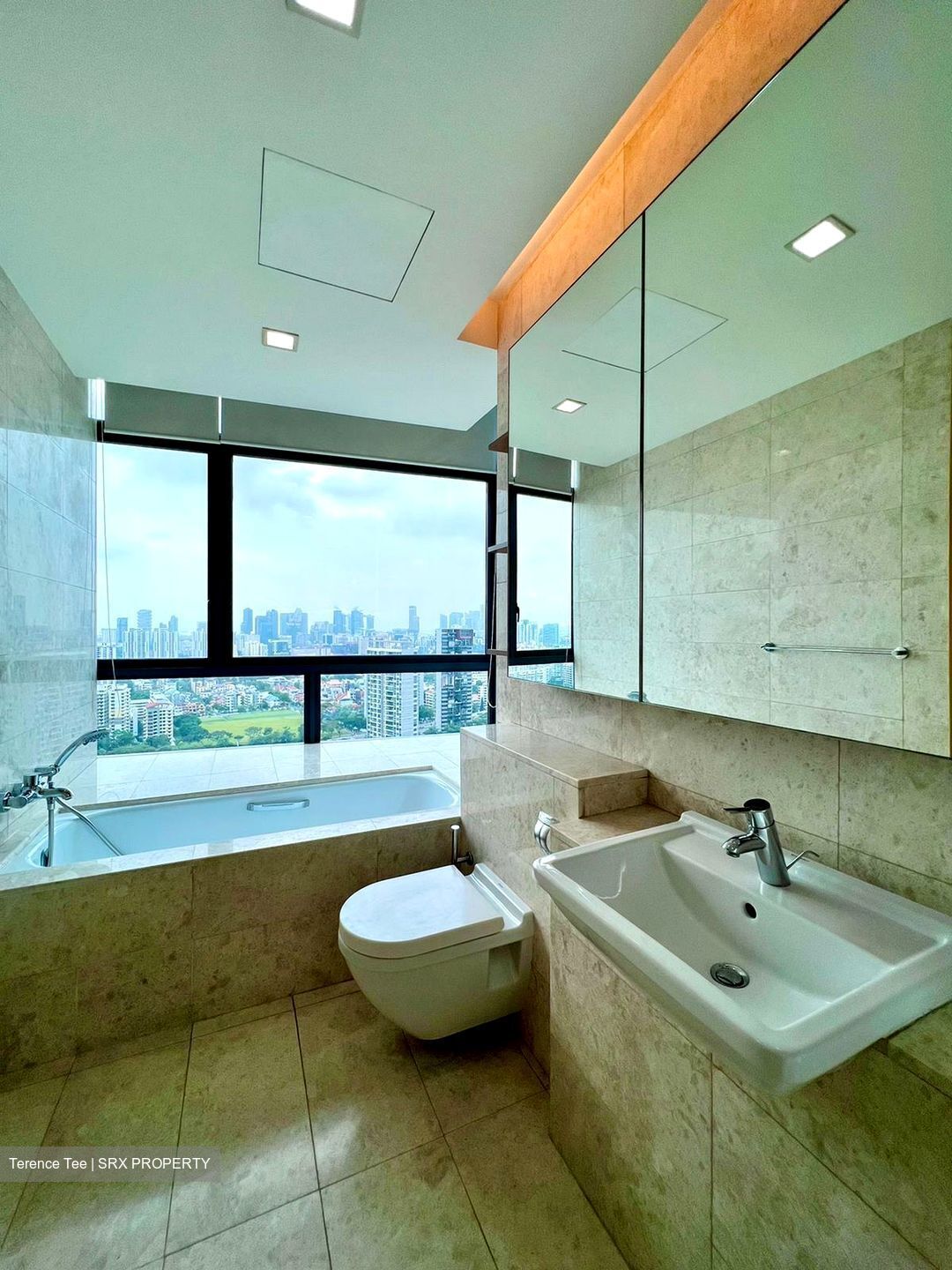 Soleil @ Sinaran (D11), Condominium #332118181
